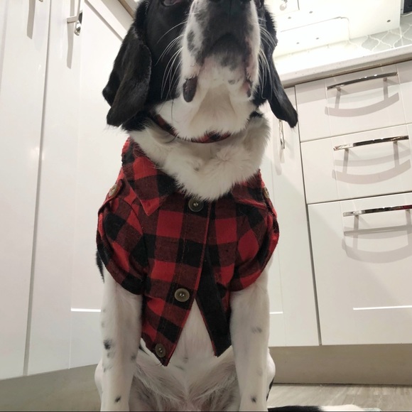 Dog Shirt: CANADIANA Buffalo plaid flannel shirt - size ‘Large’ - Picture 8 of 16